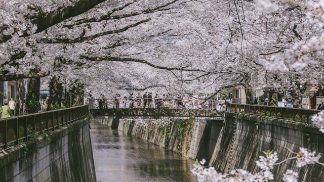 Nakameguro (中目黒)