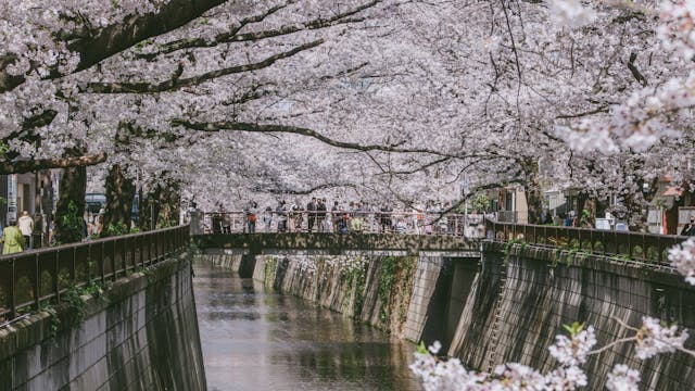 Nakameguro (中目黒)